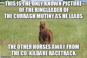 horse curragh mutiny